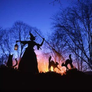 Meet your Posher, Cathy